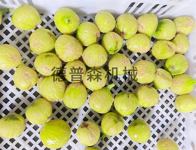 無花果蒸汽去皮設(shè)備